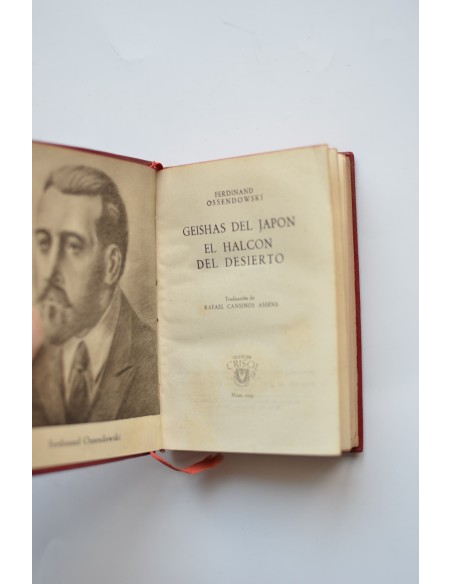 Geishas del Japón - El halcón del desierto