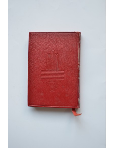 Geishas del Japón - El halcón del desierto