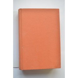 Palmeras en la nieve 2