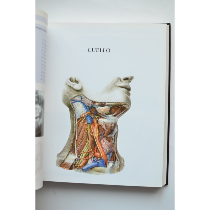 Atlas de anatomía humana. Técnicas de imagen...