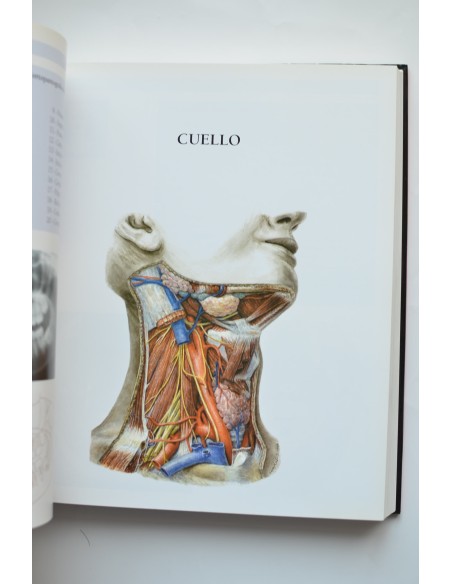 Atlas de anatomía humana. Técnicas de imagen médicas