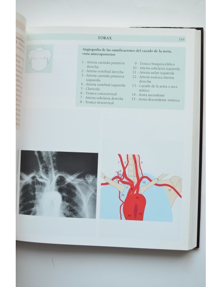 Atlas de anatomía humana. Técnicas de imagen médicas