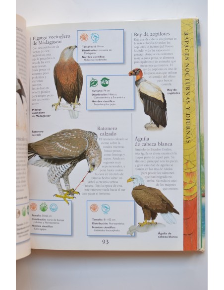 La enciclopedia de los animales