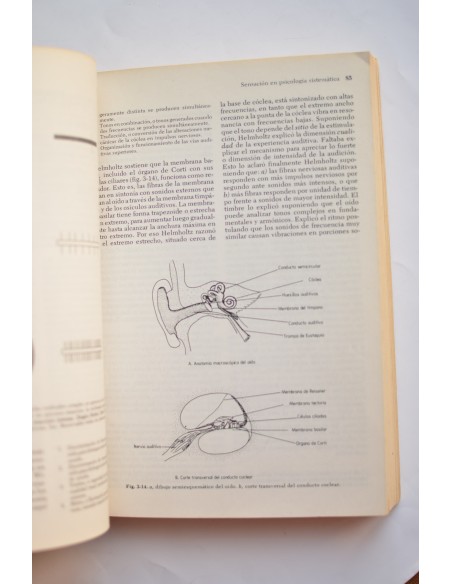 Psicología: sistemas y teorías
