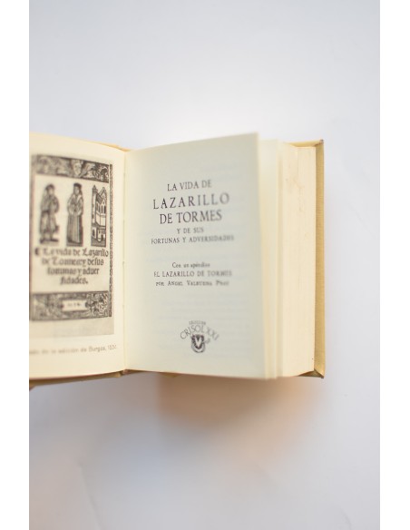 La vida de Lazarillo de Tormes y de sus fortunas y adversidades