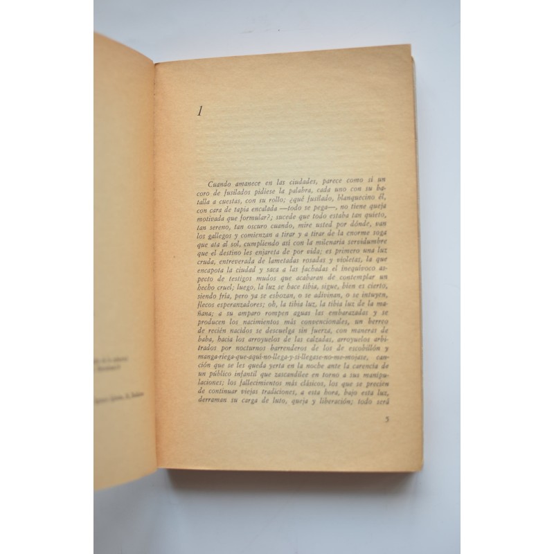 La tibia luz de la mañana