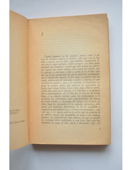 La tibia luz de la mañana