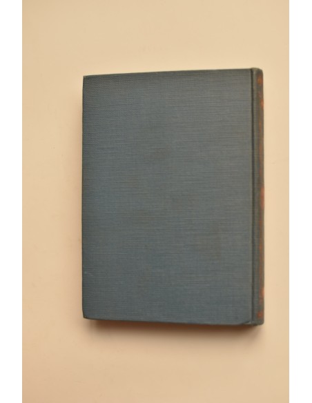 Fray Lope Félix de Vega Carpio. Semblanza