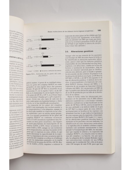 Patología molecular