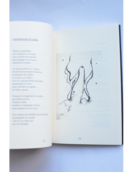 Ceniza en la Esperanza