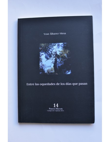 Entre las oquedades de los días que pasan