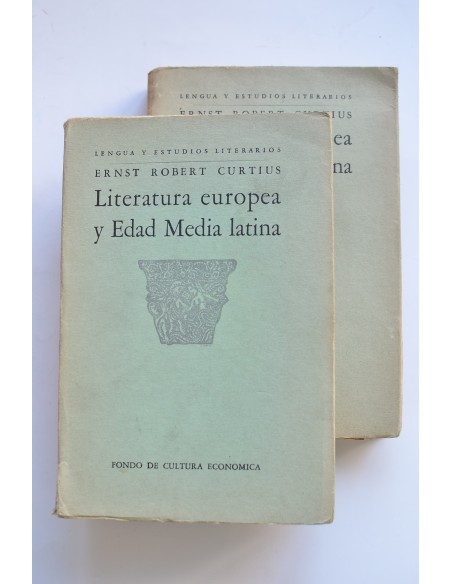 Literatura europea y Edad Media latina