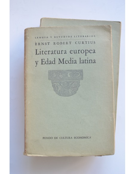 Literatura europea y Edad Media latina