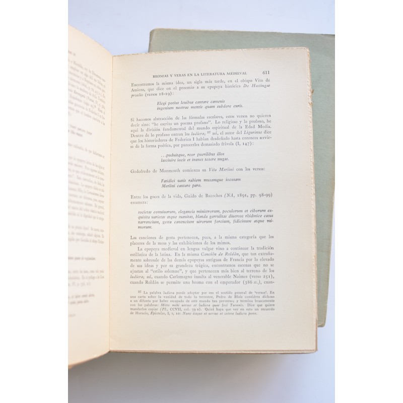 Literatura europea y Edad Media latina