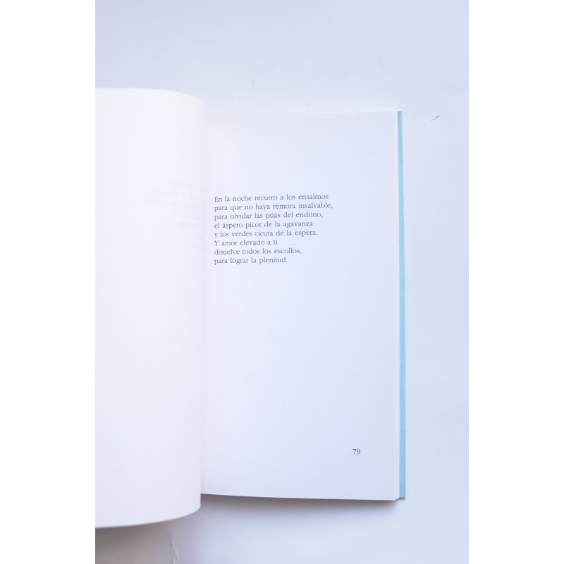 La estrella del anís