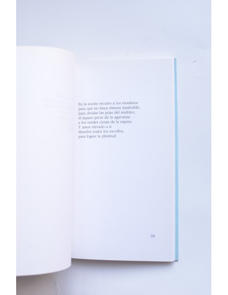 La estrella del anís