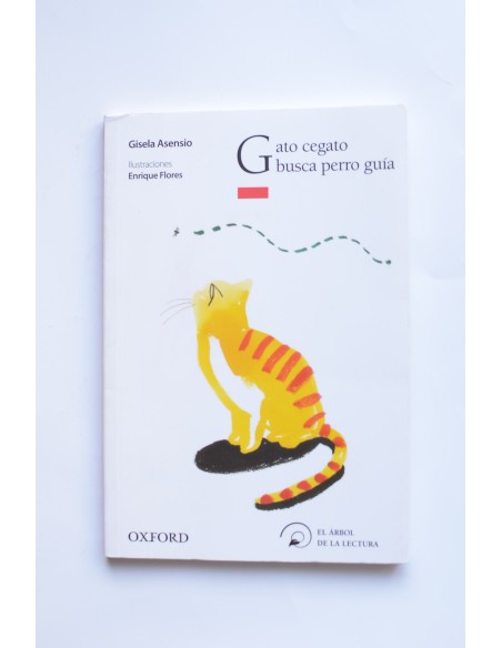 Gato cegato busca perro guía
