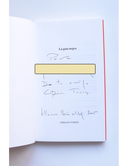 La gata negra