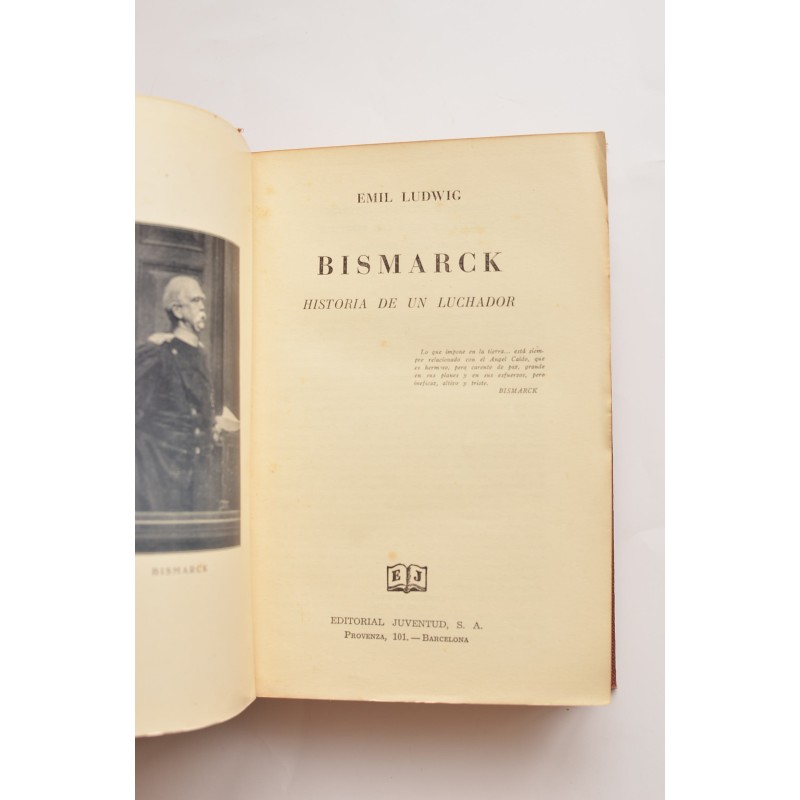 Bismarck: historia de un luchador