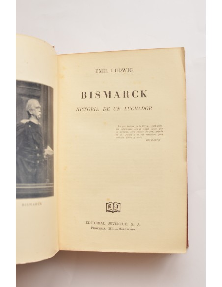 Bismarck: historia de un luchador