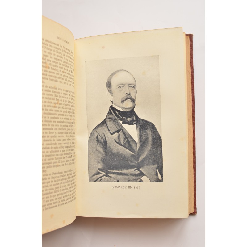 Bismarck: historia de un luchador