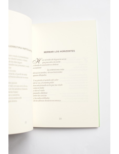 El desorden en los vientos