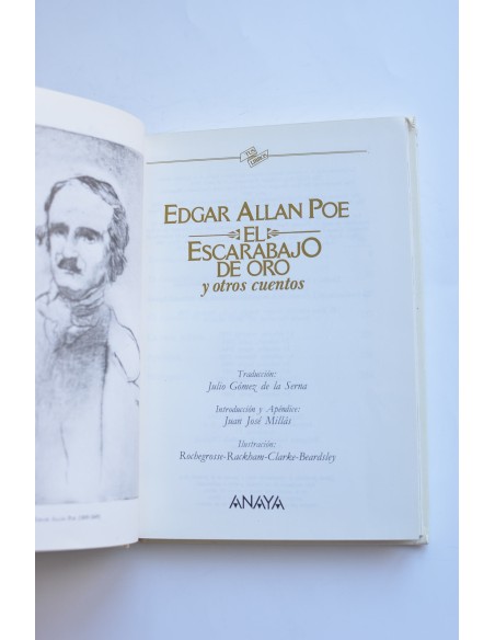 El escarabajo de oro y otros cuentos