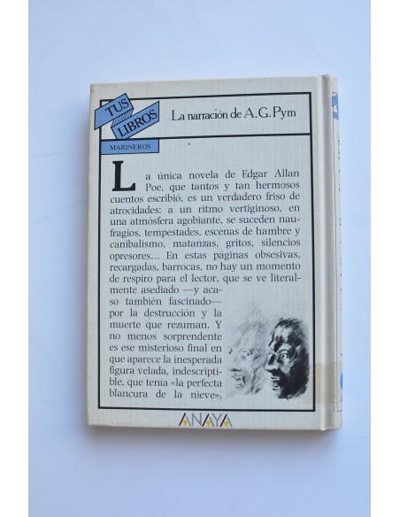 La narración de A. Gordon Pym
