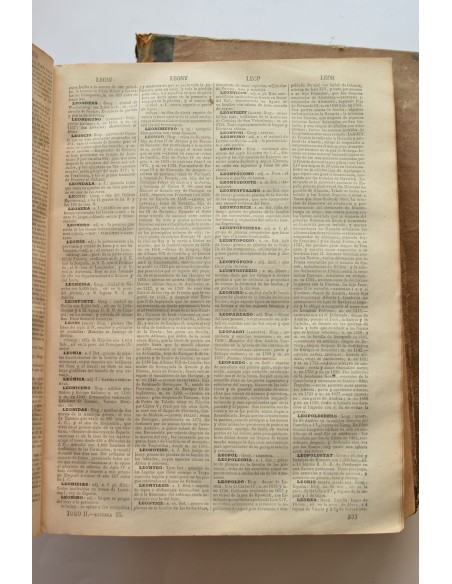 Diccionario enciclopédico de la lengua española