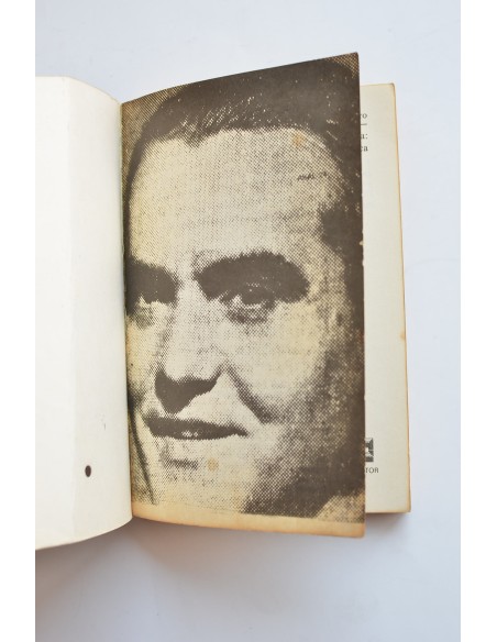 Muerte en Granada: La tragedia de Federico García Lorca