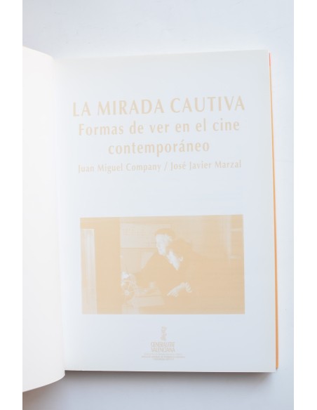 La mirada cautiva : formas de ver en el cine contemporáneo