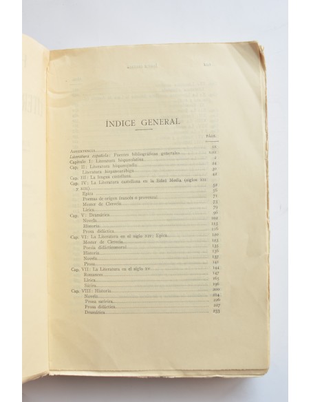 Historia de la literatura española
