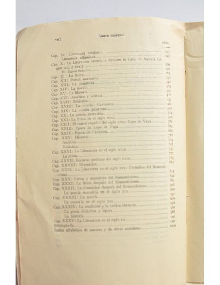 Historia de la literatura española