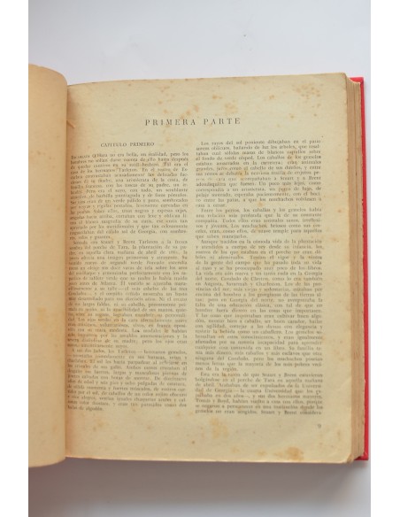 Lo que el viento se llevó