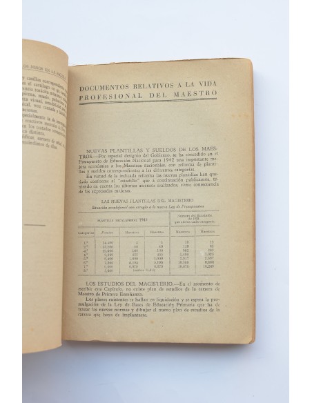 Vida profesional y administrativa del maestro