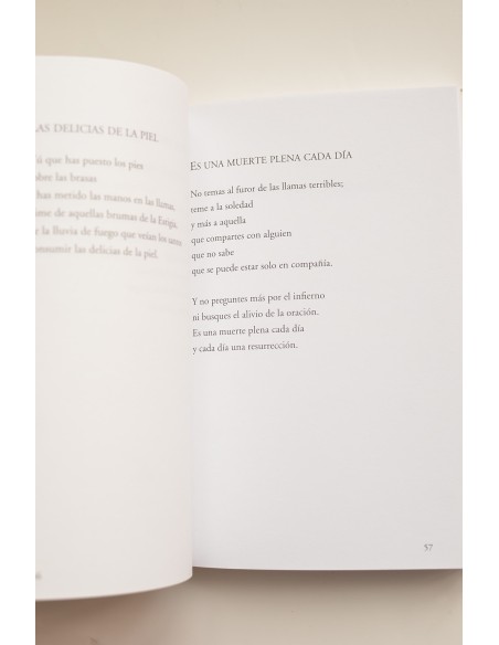 Cuando escribía poemas. Poesía 1999 - 2005