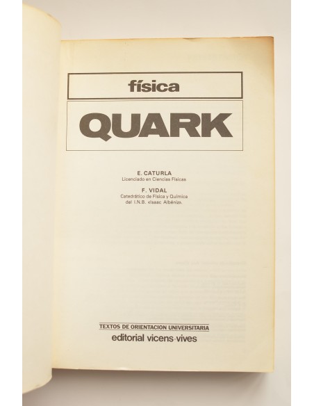 Quark. Física