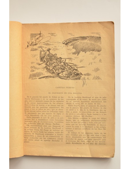 La estrella de la Araucania