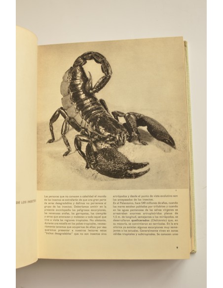 Gran enciclopedia ilustrada de los insectos