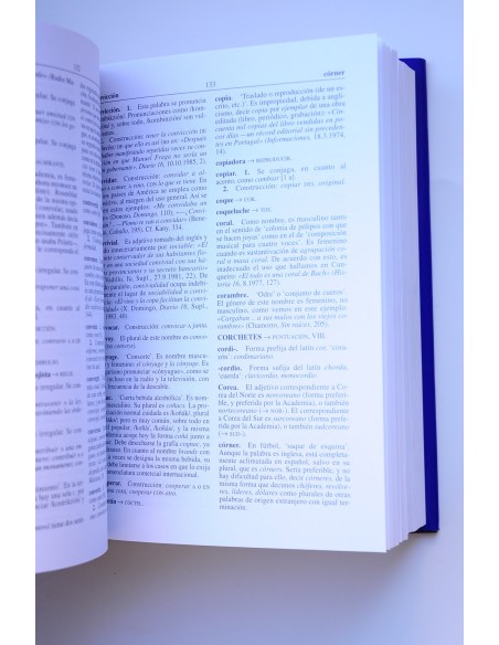 Diccionario de dudas y dificultades de la lengua española