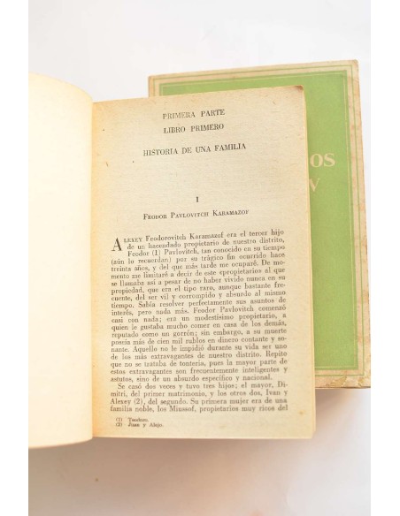 Los hermanos Karamazov