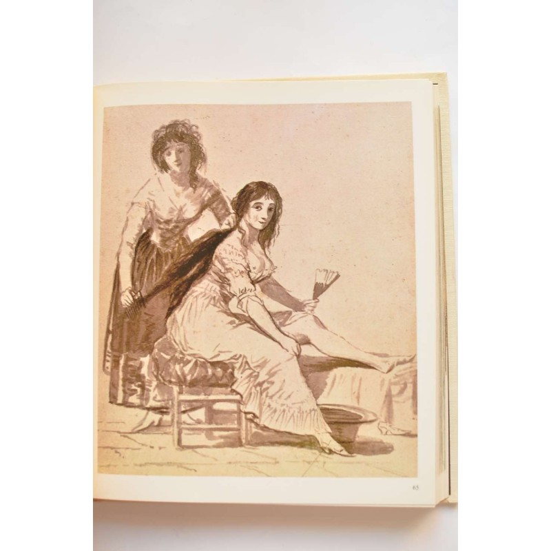 El mundo de Goya en sus dibujos