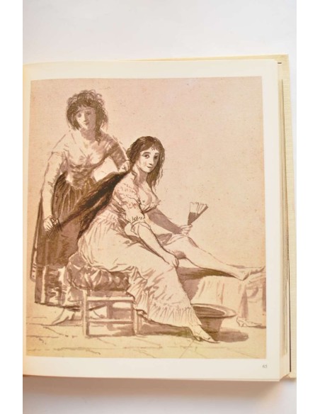El mundo de Goya en sus dibujos