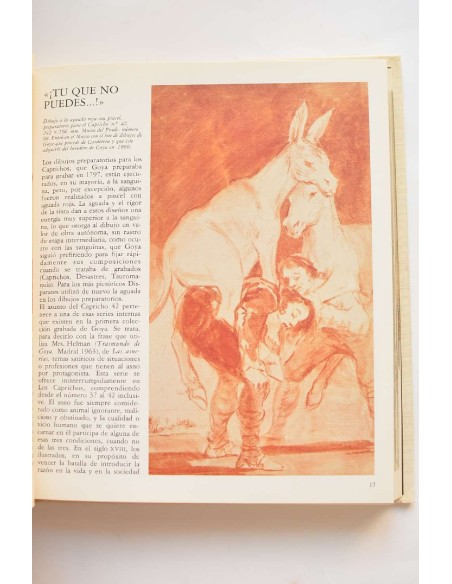 El mundo de Goya en sus dibujos