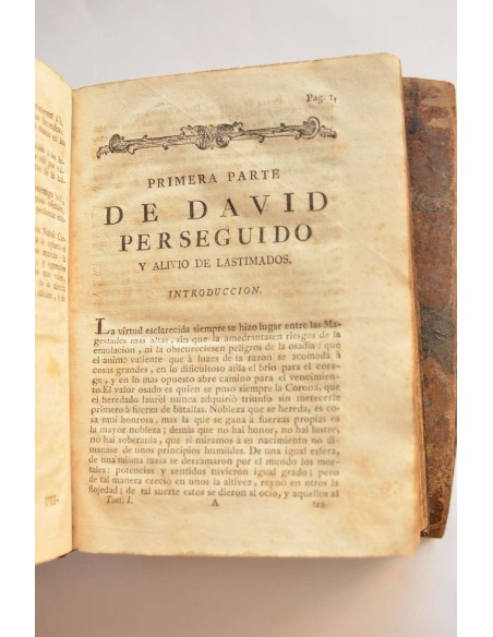 David perseguido y alivio de lastimados
