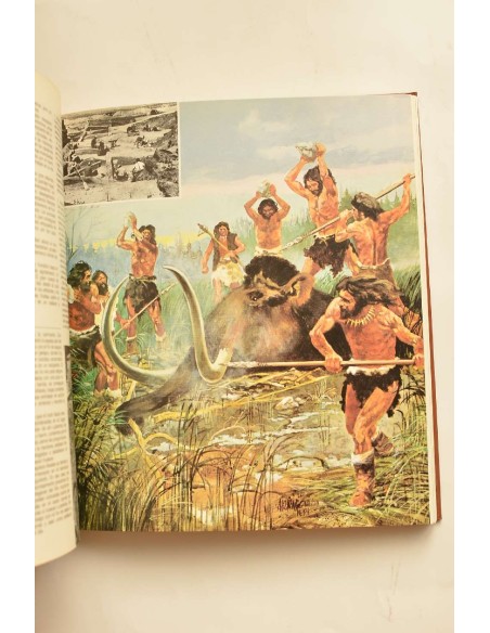 La prehistoria
