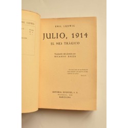 Julio 1914, el mes trágico 2