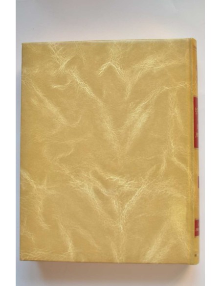 Historia de la Región Murciana. Tomo V