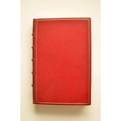 Comedia sentimental : novela