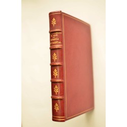 Comedia sentimental : novela 2